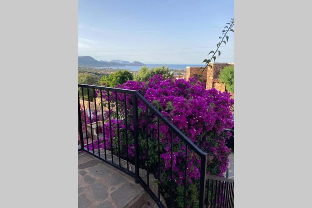 Casa Tavolara Villa Porto San Paolo  Exterior foto
